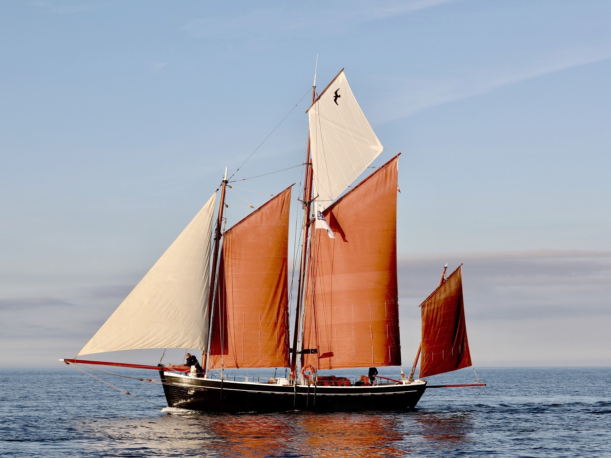 Neire Mâove Goélette du Cotentin