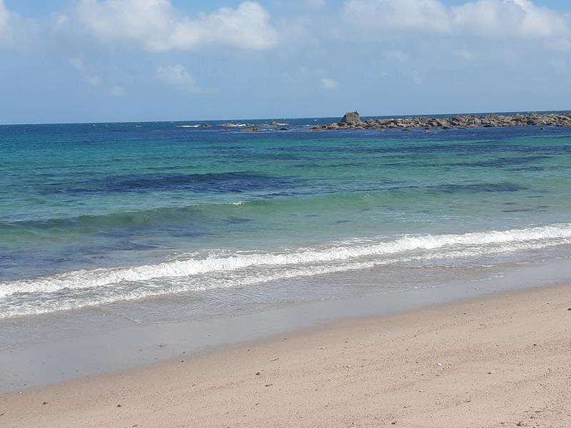 Entre Mer et Marais