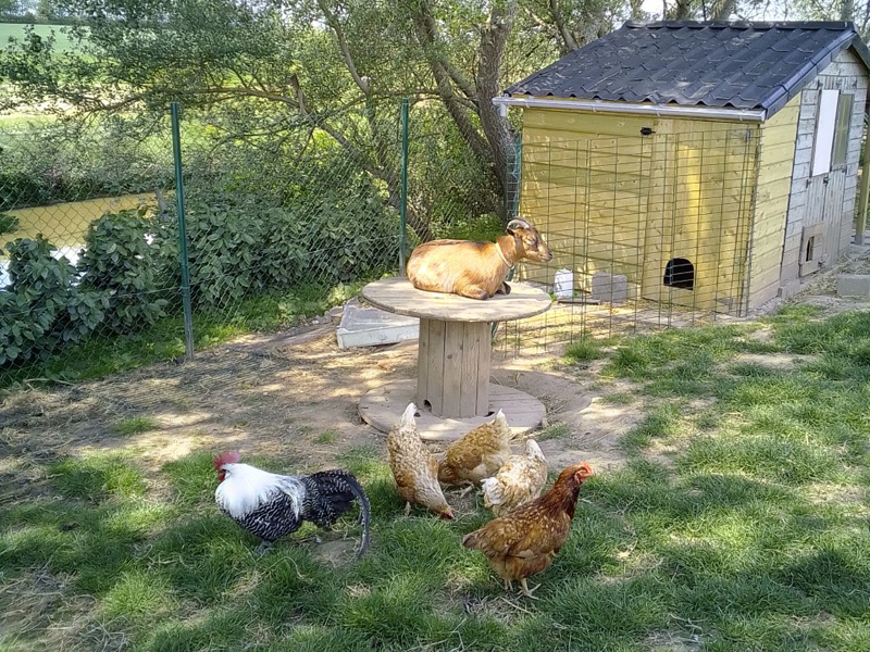 Ferme
