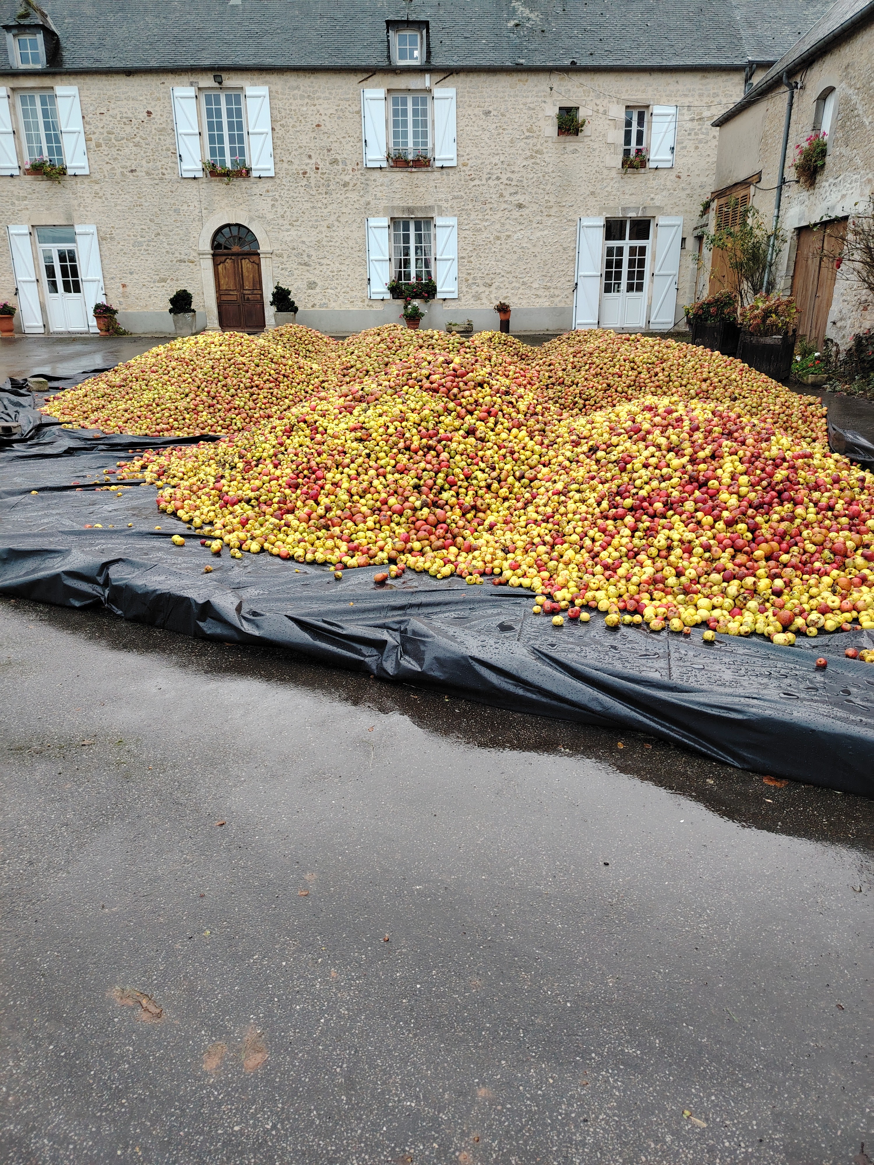 Ferme St Blaise