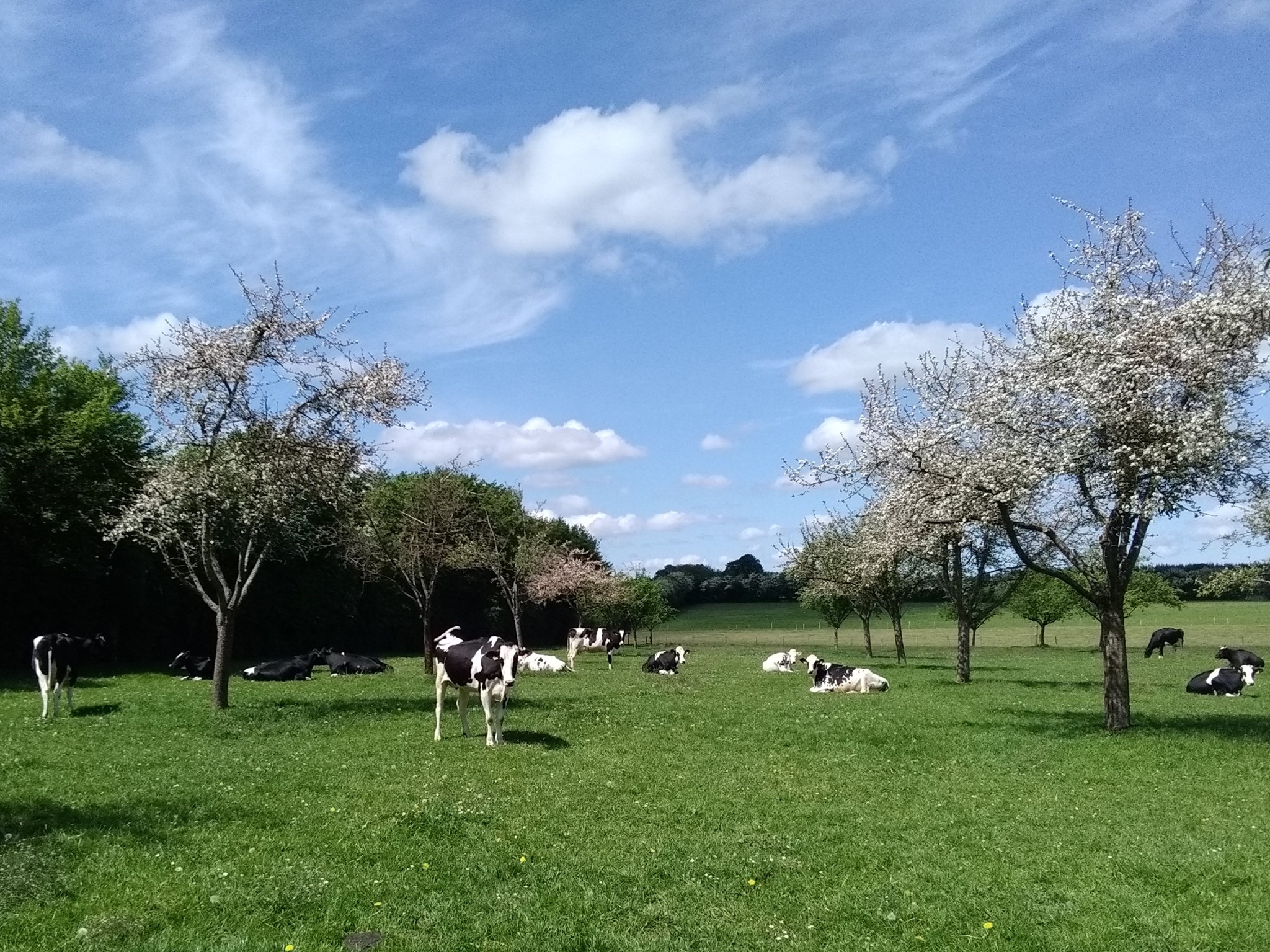 Ferme de Liffremont - photo 2