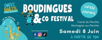 Boudingues & Co Festival - 2ème édition Le 8 juin 2024