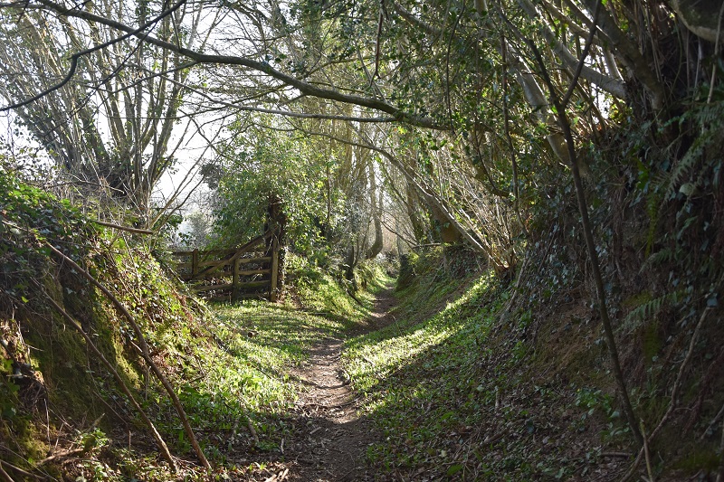 Les chemins creux - Randonnée