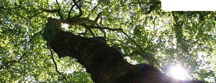 Forêts de Lyons, Monts et Vallée de l'Andelle