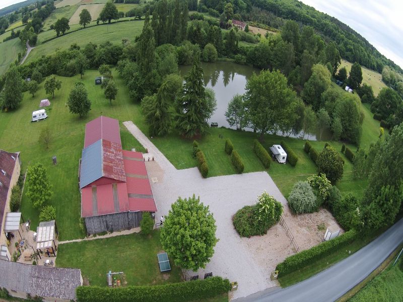 © Forest View Forest-view-dorceau