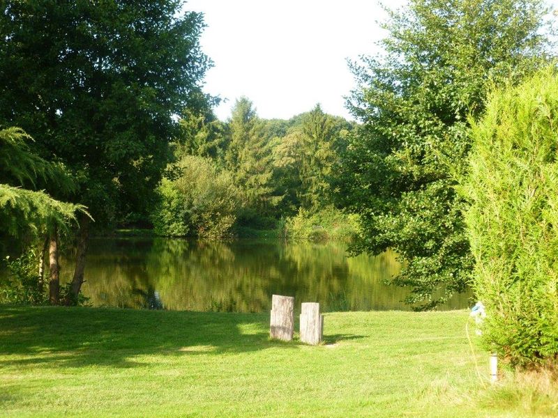 © Forest View Forest-view-dorceau