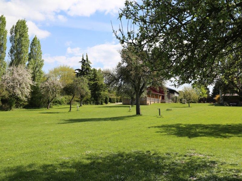 © Forest View Forest-view-dorceau