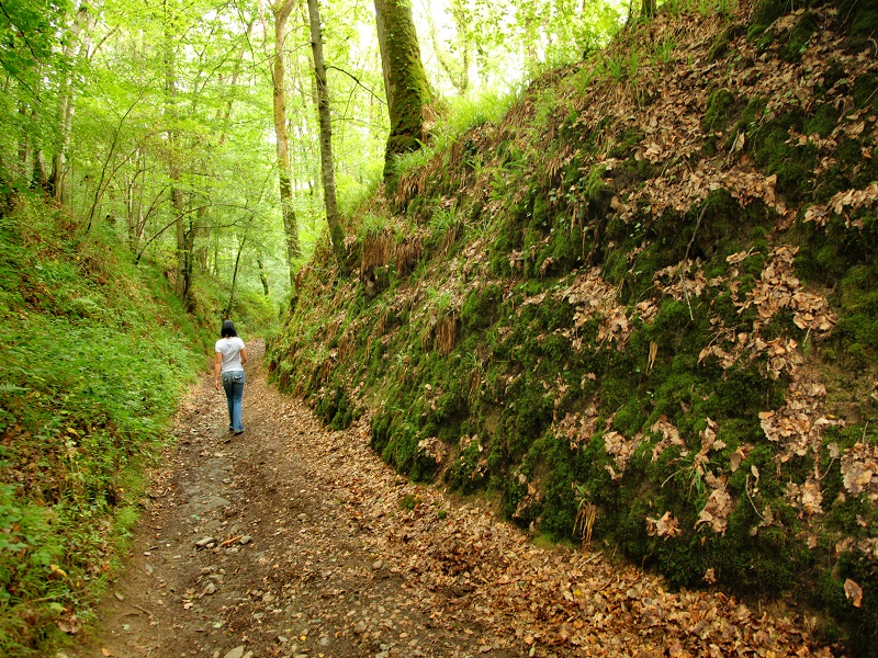 Le coupe gorge