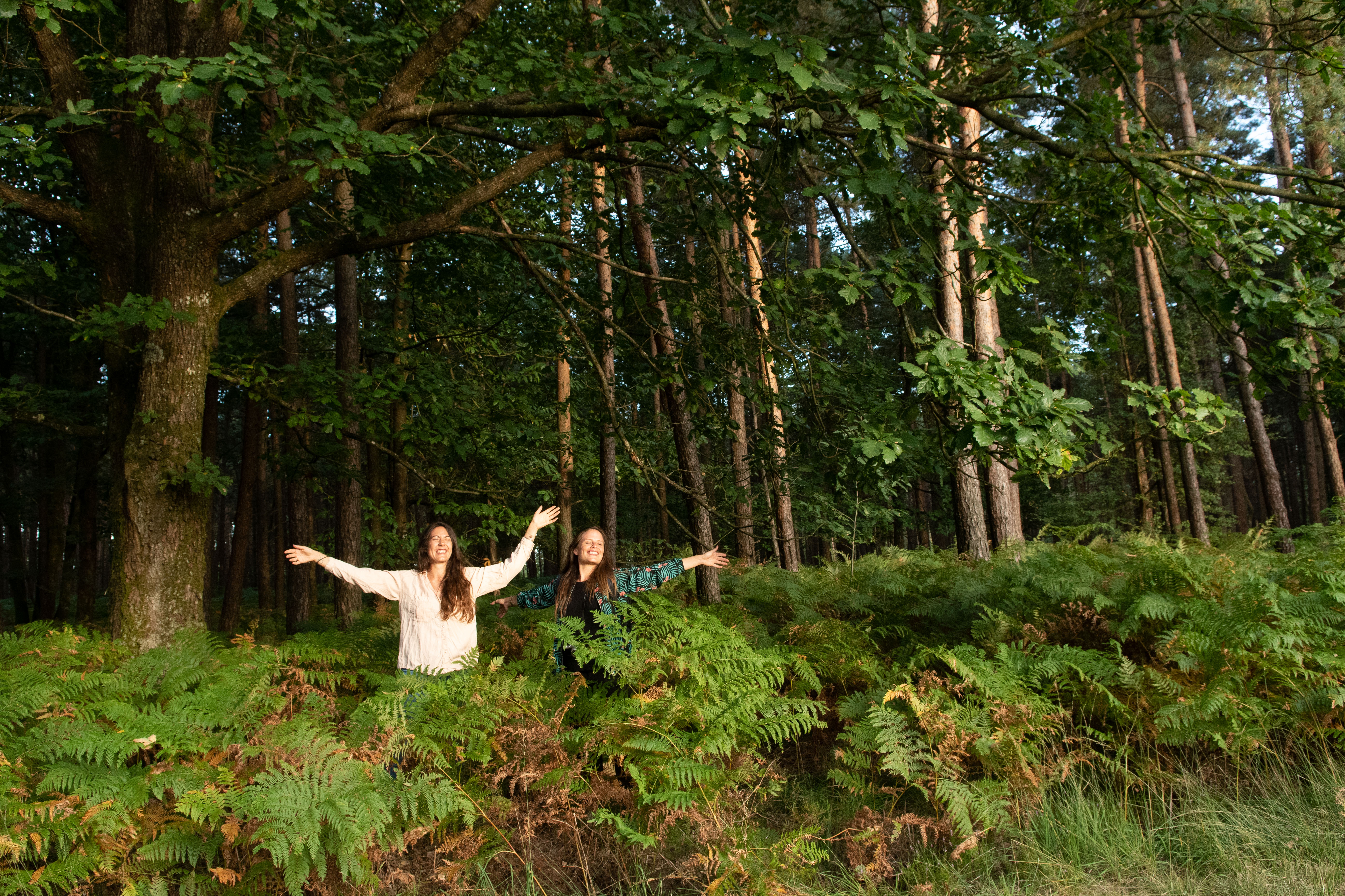 Foret commenchal david Foret