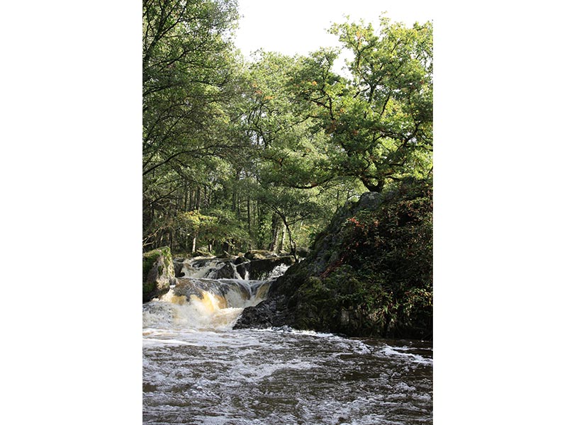 © CD 61 La Fosse Arthour