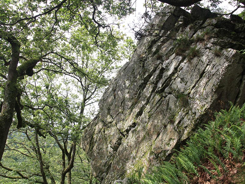 © CD 61 La Fosse Arthour