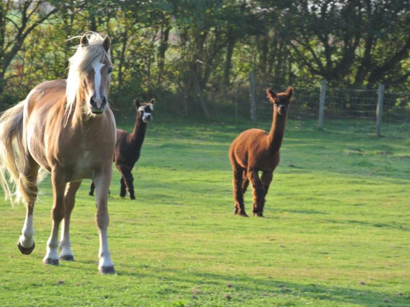 G1351 - Le Clos Saint Bernard - Mme Landry