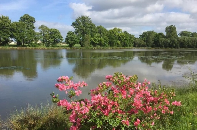 Le Grand Gîte du Lac