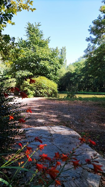 Lakeside Cottage - Le Petit Moulin