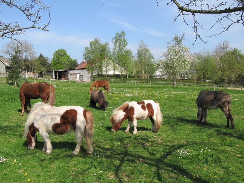 © Famille Vienne Gite-l-Arche-Fleuri-Berjou