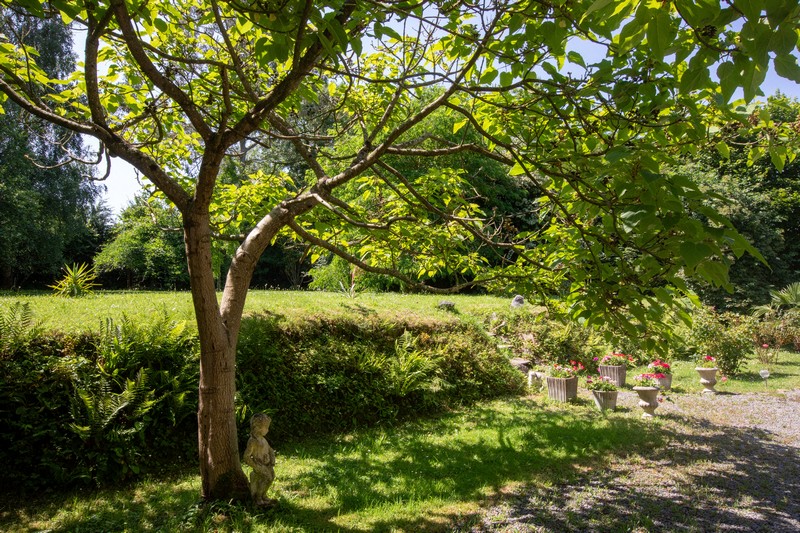 Le paradis des oiseaux
