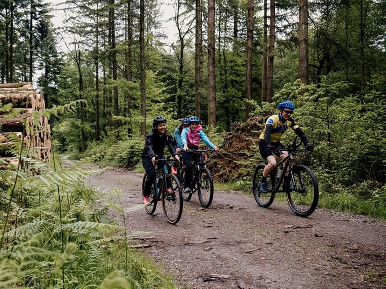 Gravel en forêt d'Andaine avec Sylvaine Cussot
