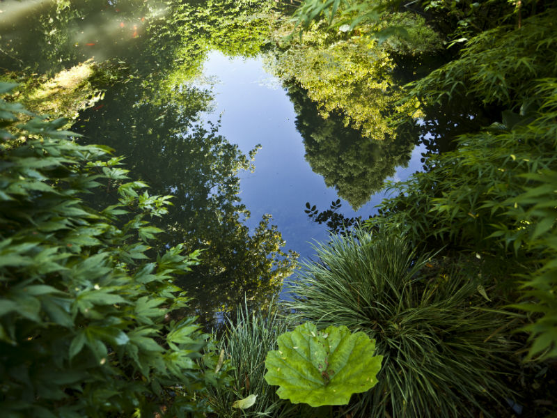 Jardin Joponais