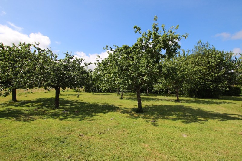 La Goutte