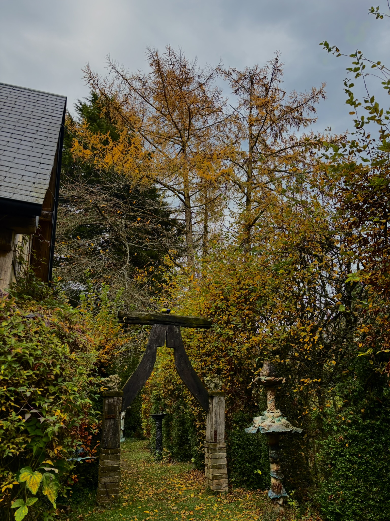 Jardin des Damville 