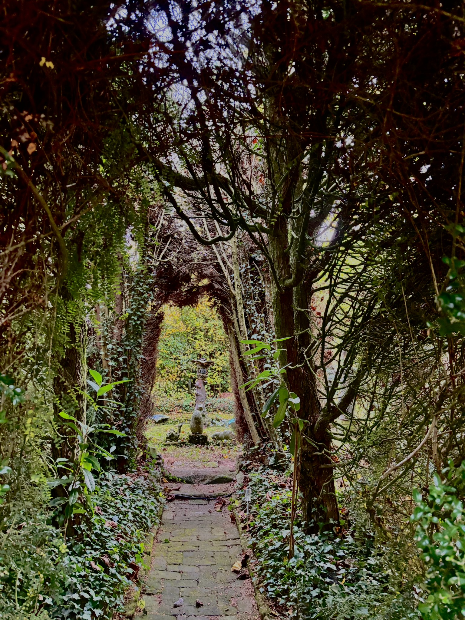 Jardin des Damville - photo 4