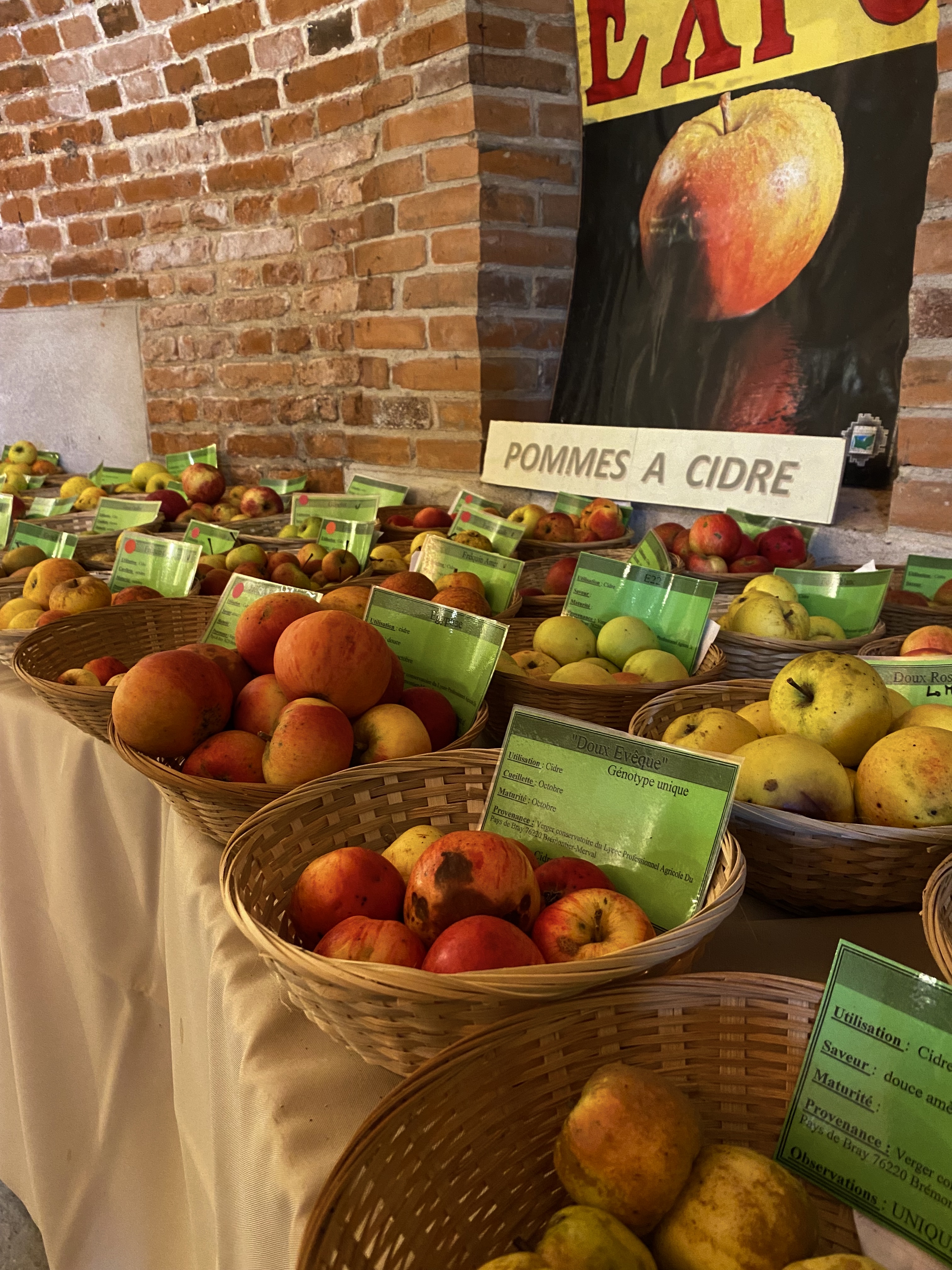 Sauve ta Pomme & Foire aux Vins