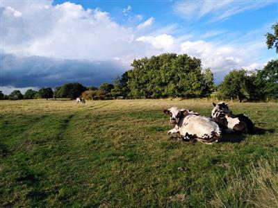 (c) OT Domfront IMG_20200827_183040
