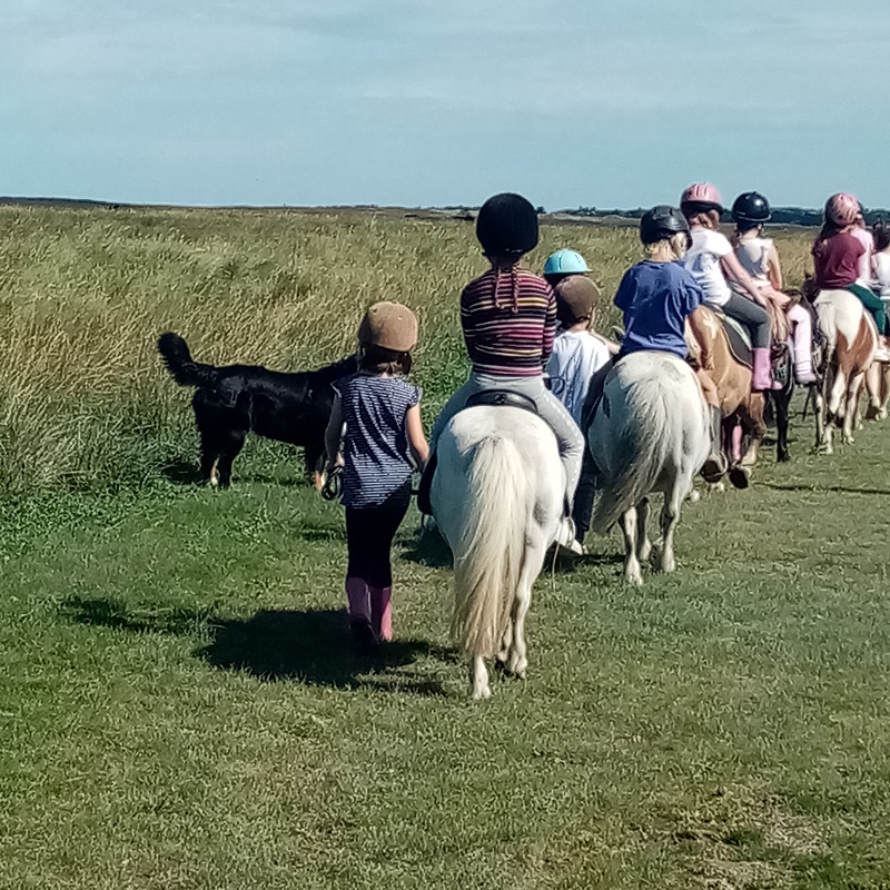 Le Poney Marin