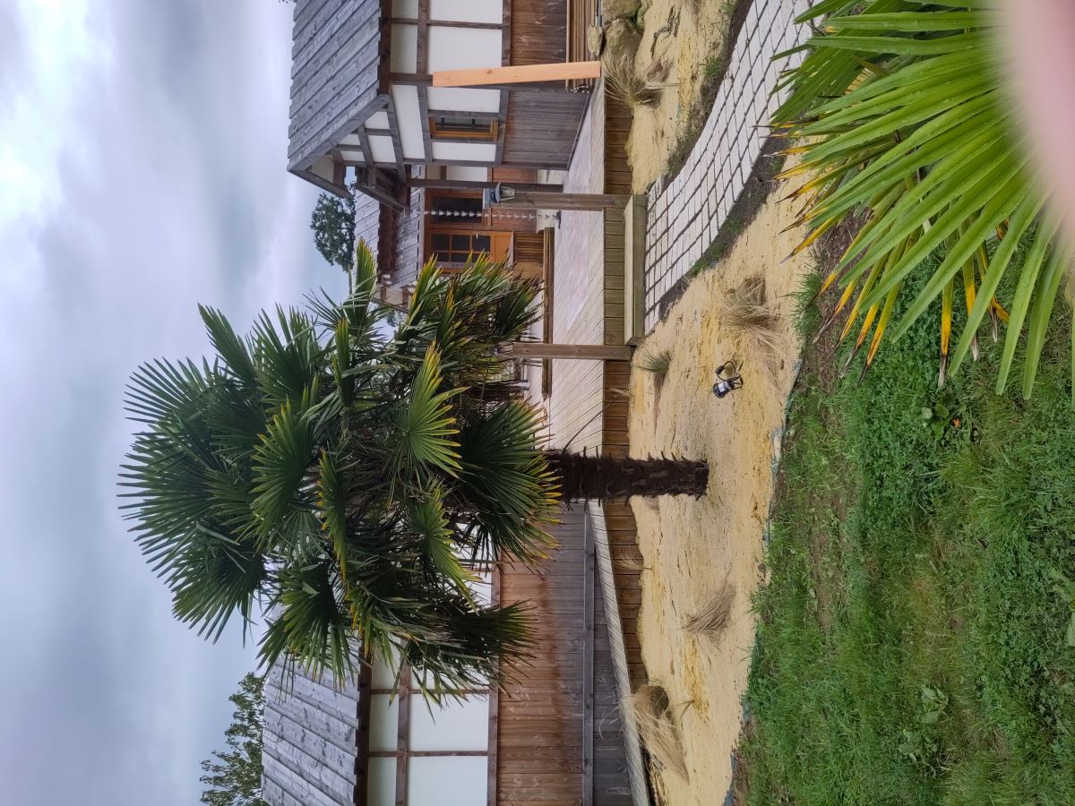 Cabanes japonaises