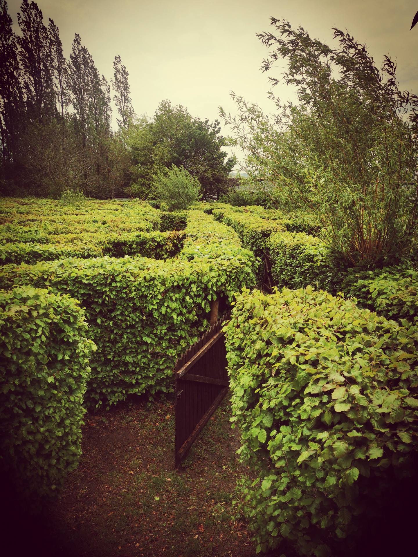 Labyrinthe artmazia - photo 7