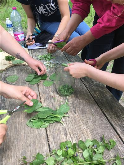 Balade Nature : Découverte sensorielle de la forêt