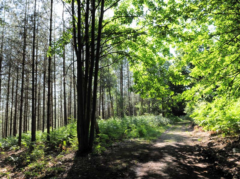 ALLEE@OT du Pays du Beaumontais