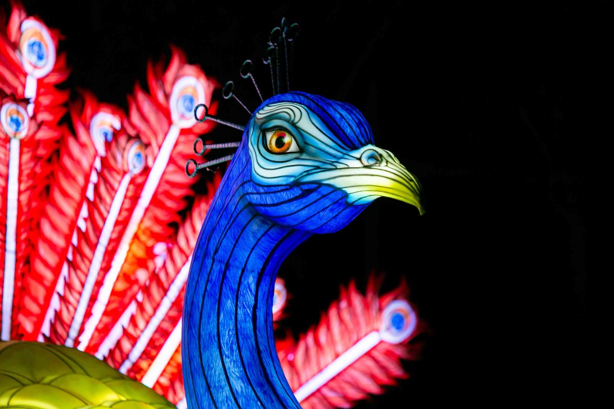 Jungle de Lumières au Zoo de Jurques