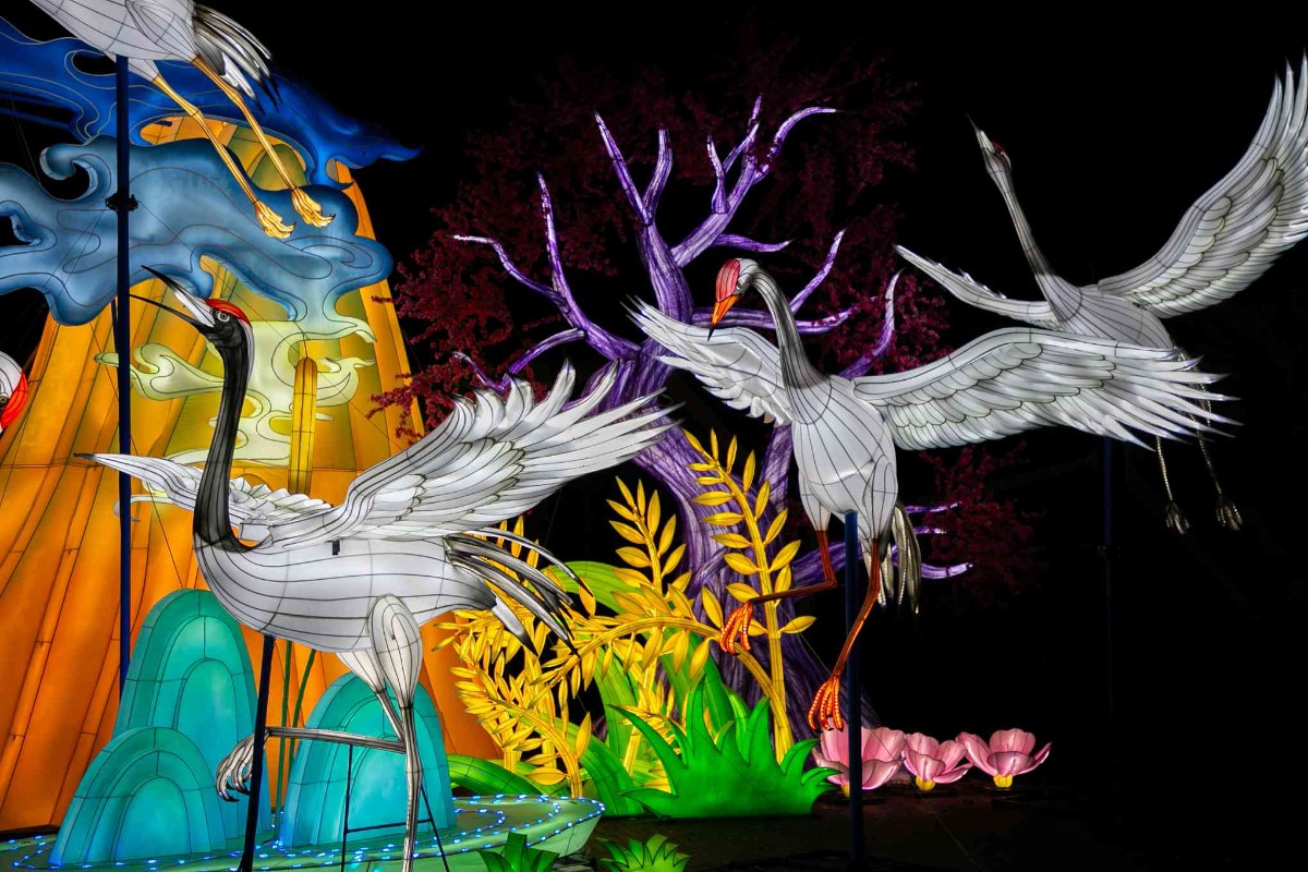 Jungle de Lumières au Zoo de Jurques