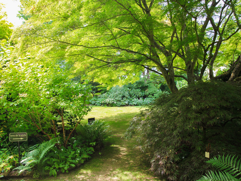 Jardin du Mesnil et Parc Botanique de Bray - photo 6