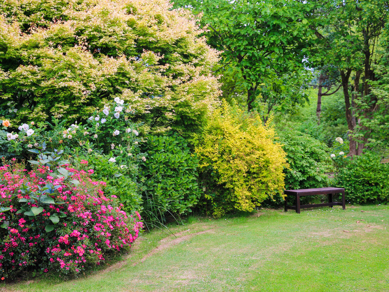 Jardin du Mesnil et Parc Botanique de Bray - photo 8