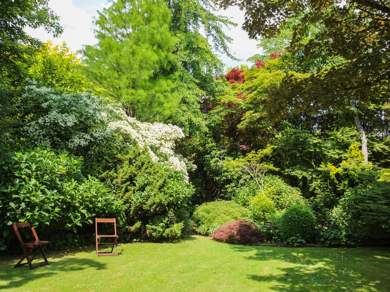 Jardin du Mesnil et Parc Botanique de Bray - photo 5