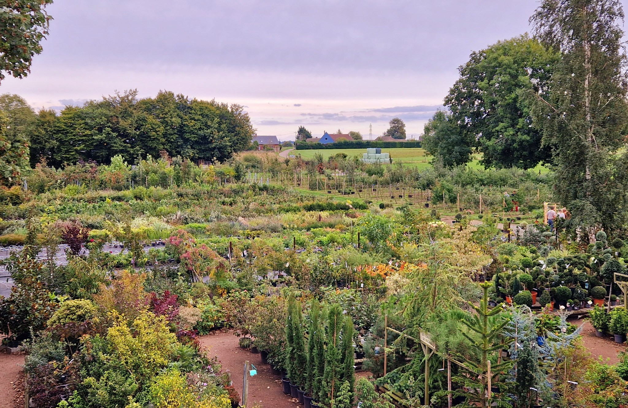 Jardins d'Avremesnil espace extérieur