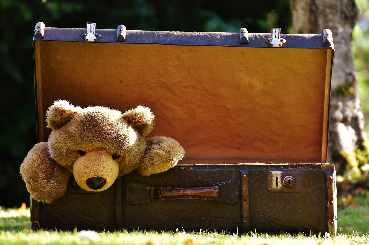 Jouets_Ours_en_peluche