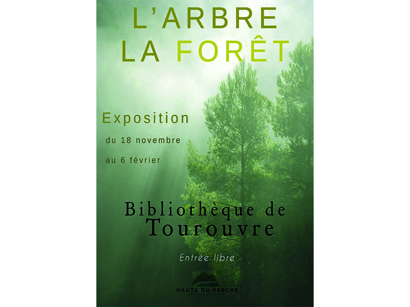 L'arbre la forêt 800 x 600 ©MédiathèquesdesHautsduPerche L'arbre la forêt 800 x 600