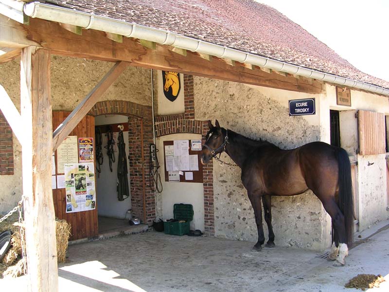 © Ecuries de la Madelainerie Ecuries de la Madelainerie