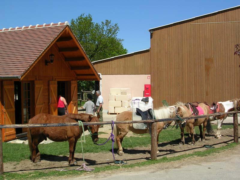 © Haras de la Chéchinière Haras de la Chéchinière