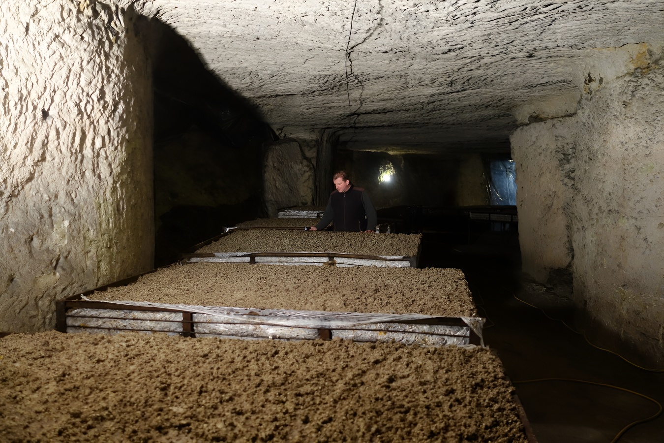 La champignonnière Orbec ancienne carriere