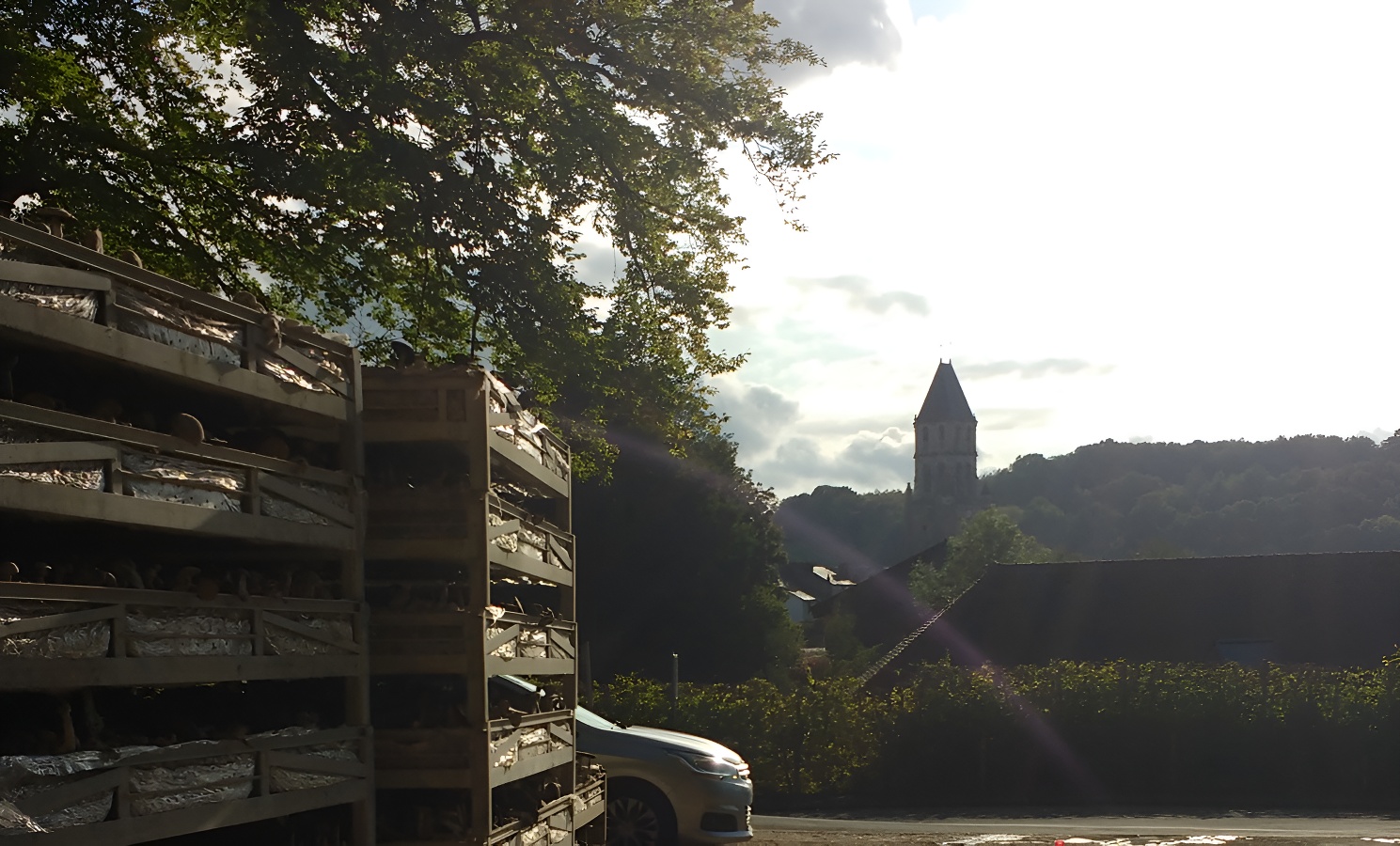 la champignonnière Orbec vue sur l'église
