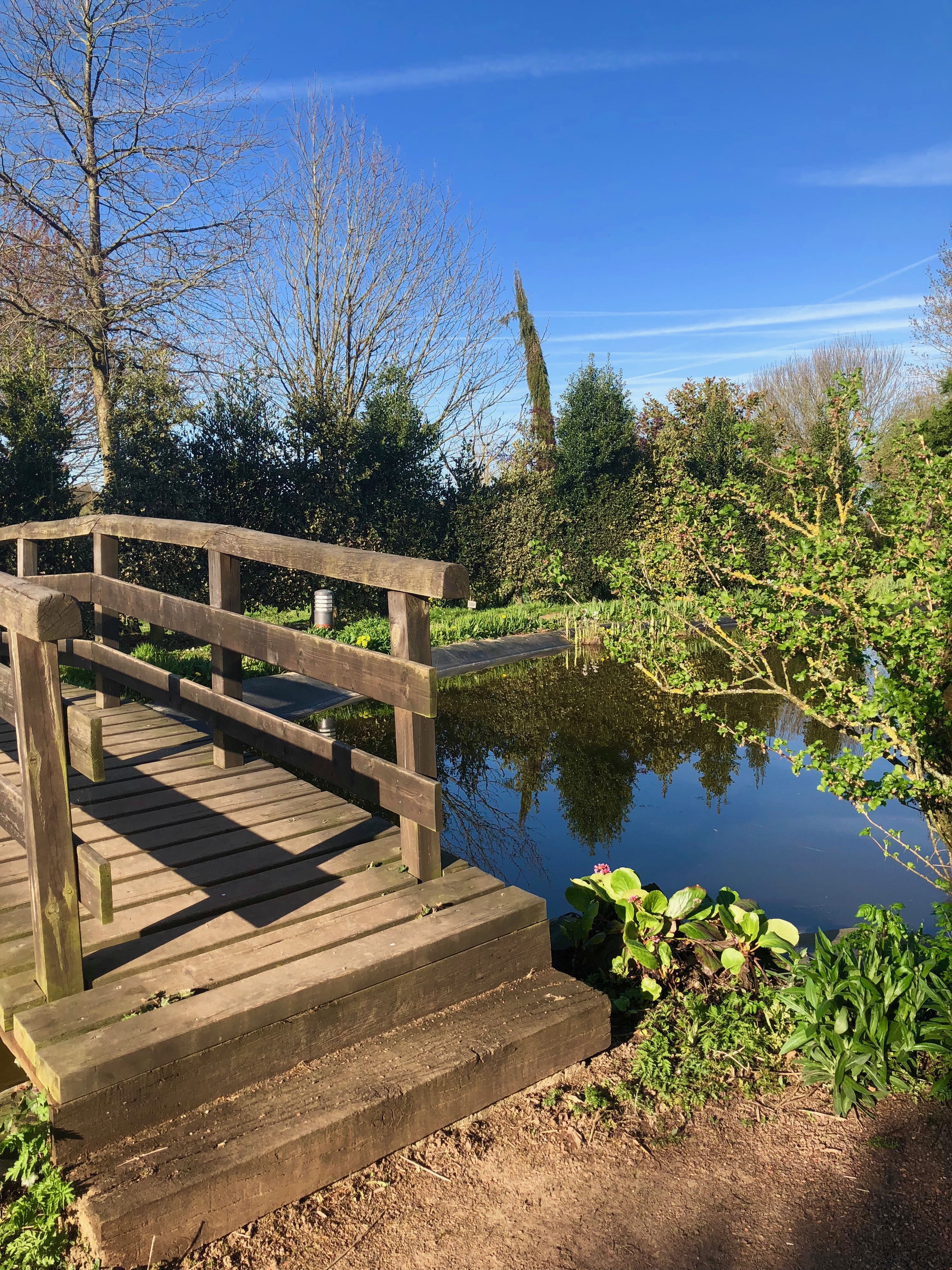 Parc paysager de La Hallotière - photo 2