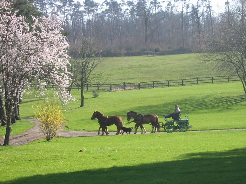 © orne tourisme La-Verrerie-du-Gast-Tanville