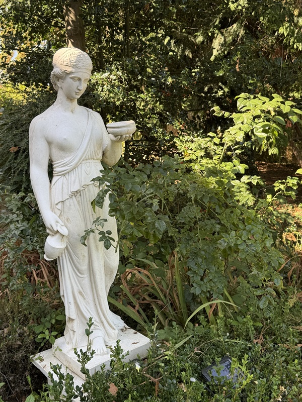 Le Jardin Secret du Dr Papertian