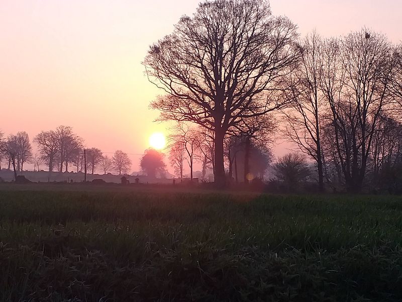 ©MME GRIPPON Le-P tit-Spa-de-Lonlay-Lonlay-Labbaye