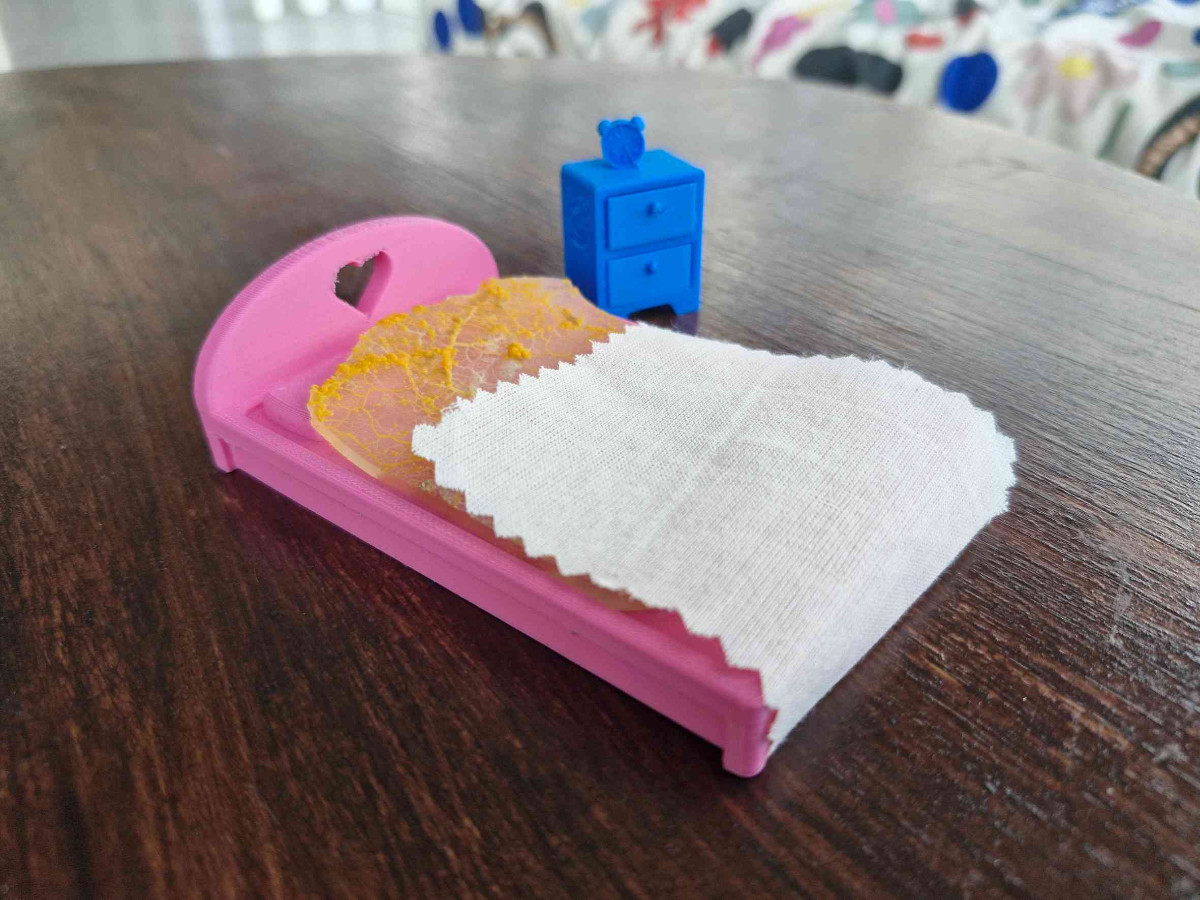 Atelier "Réveil du blob"