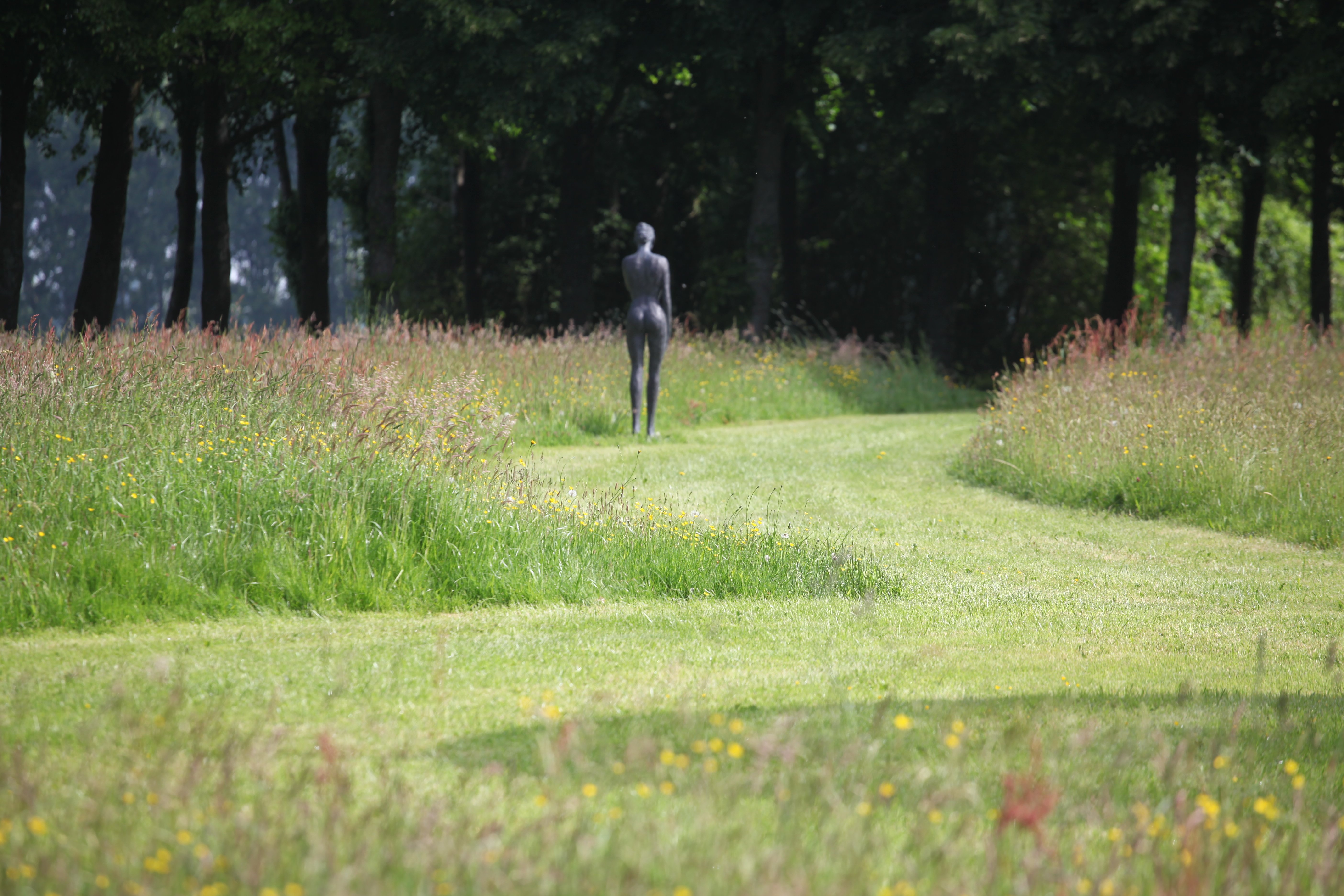 Le Jardin des sculptures, Château de Bois-Guilbert  - photo 6